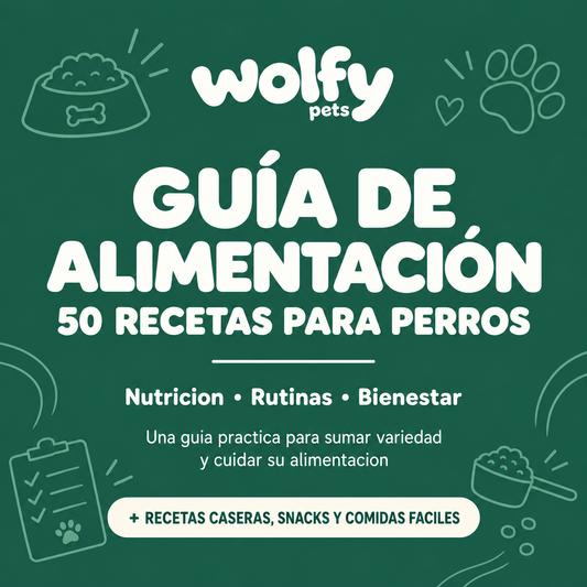 EBOOK: Guía de Alimentación